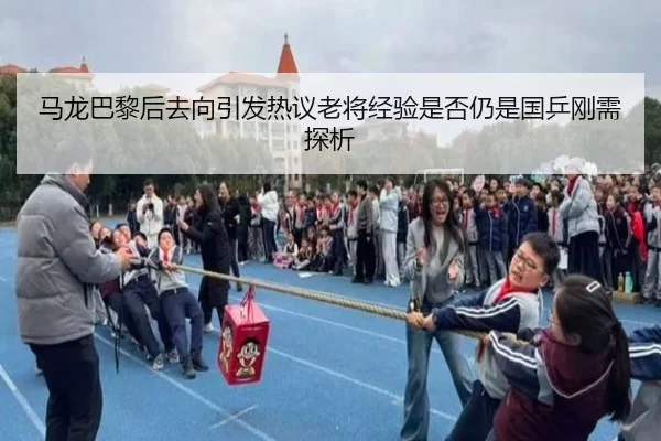 马龙巴黎后去向引发热议老将经验是否仍是国乒刚需探析