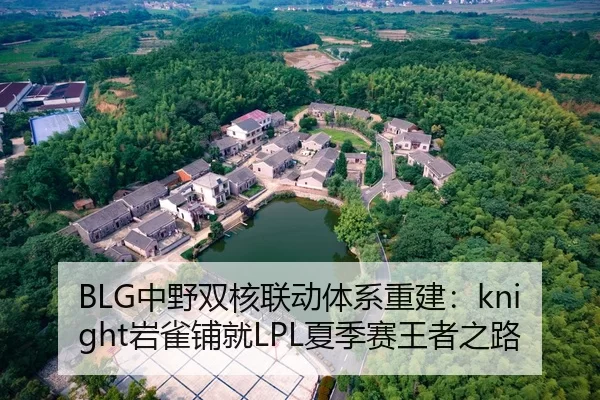 BLG中野双核联动体系重建：knight岩雀铺就LPL夏季赛王者之路