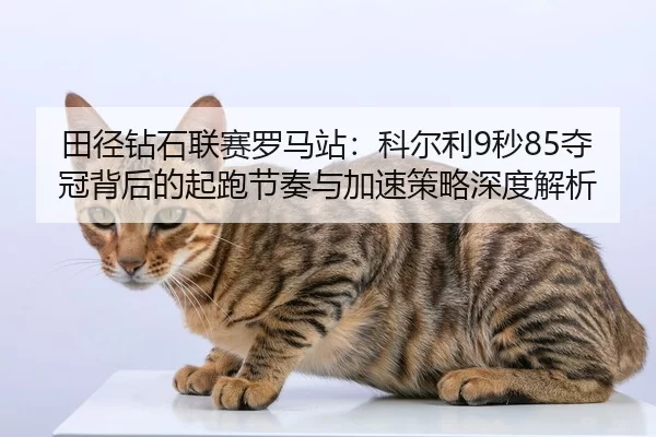 tian-jing-zuan-shi-lian-sai-luo-ma-zhan-ke-er-li-miao-duo-guan-bei-hou-de-qi-pao-jie-zou-yu-jia-su-ce-lve-shen-du-jie-xi-2-806.jpg
